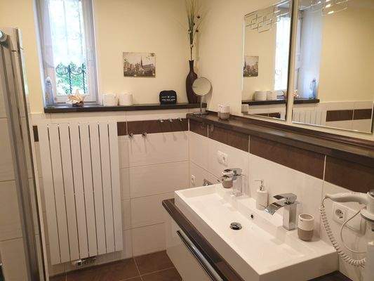 EG Tageslicht-Dusche, WC