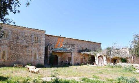 Sencelles Häuser, Sencelles Haus kaufen