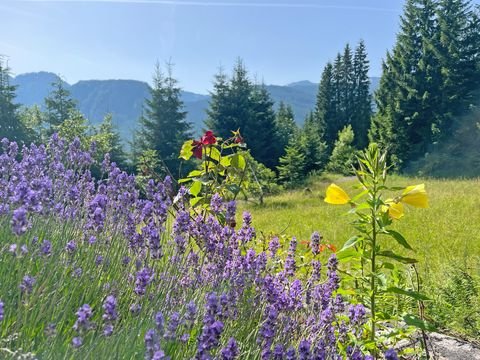 Gosau Häuser, Gosau Haus kaufen