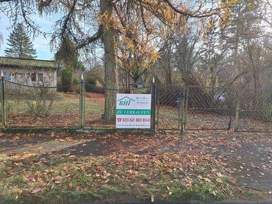 Blick auf das Grundstück