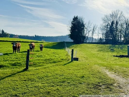 Natur pur vor der eigenen Haustür