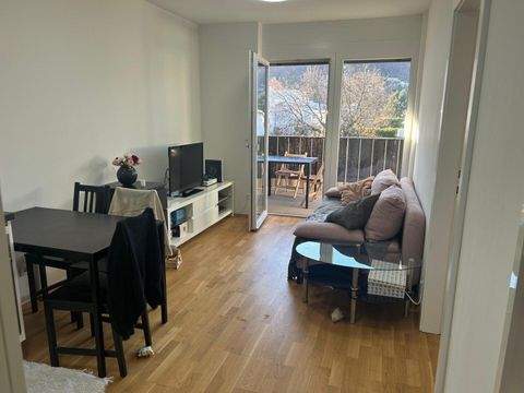 Graz Wohnungen, Graz Wohnung mieten