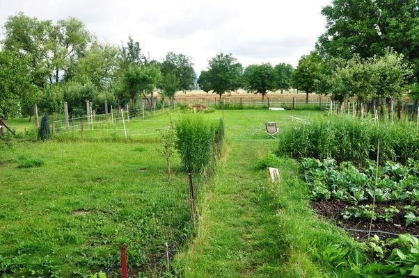 Garten Blick zur Unstrut