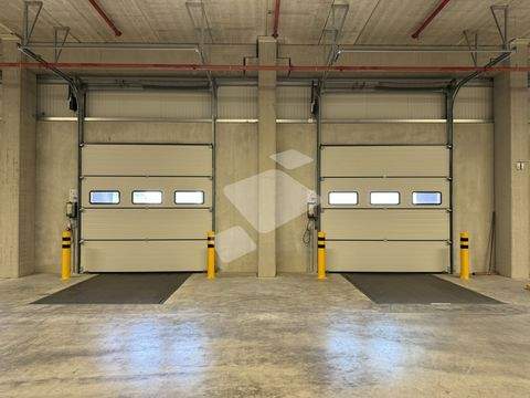 Nettetal Halle, Nettetal Hallenfläche