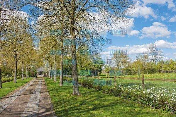 Lange Zufahrt zur Insellage