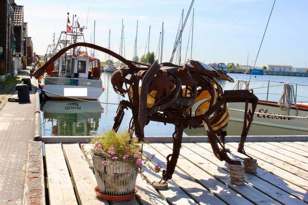 Der Hafen von Gager.JPG