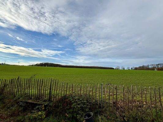 Blick über das angrenzende Feld