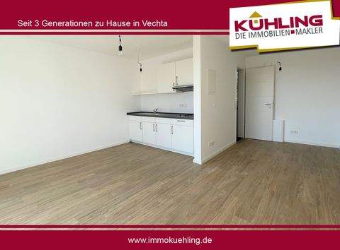 Diepholz Wohnungen, Diepholz Wohnung mieten