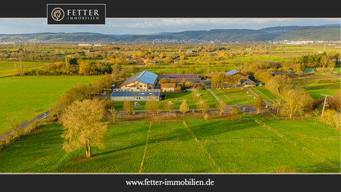 Bingen am Rhein Bauernhöfe, Landwirtschaft, Bingen am Rhein Forstwirtschaft