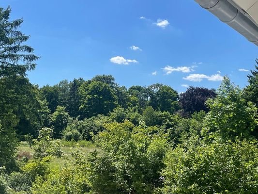 Ausblick 1. OG