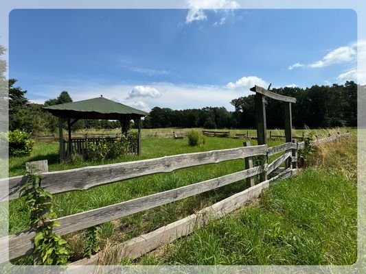 zum Grundstück dazugehörige Wiese