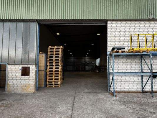 Halle Ki Visualisiert