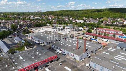 Bergheim Büros, Büroräume, Büroflächen 