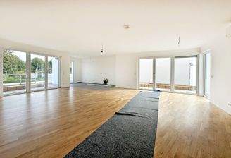 Wohnzimmer mit Küche