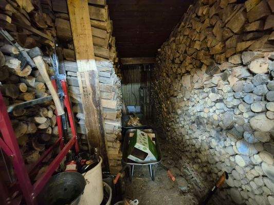 Holzvorrat für 12 Jahre
