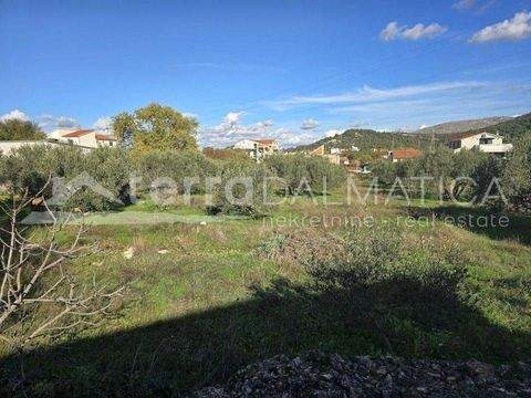 Bilice Bauernhöfe, Landwirtschaft, Bilice Forstwirtschaft