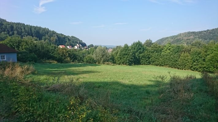 Ausblick