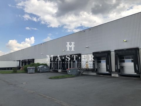 Lampertswalde Halle, Lampertswalde Hallenfläche