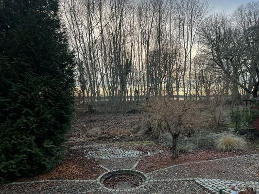Blick Richtung Bodden in der Abendsonne 