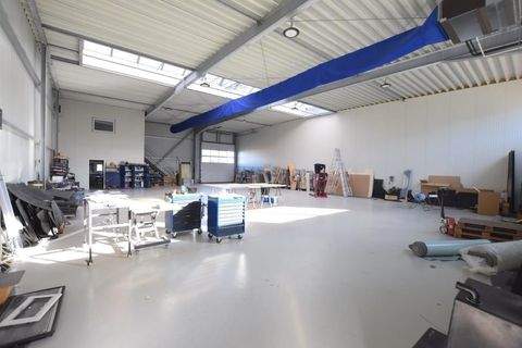 Gottmadingen Halle, Gottmadingen Hallenfläche