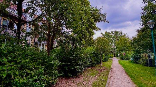 Fußweg vor Terrasse / Garten