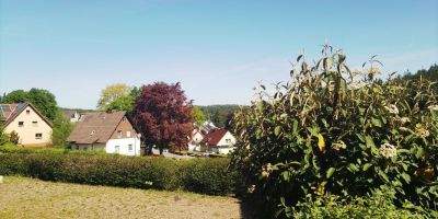 imsgmbhpicture0201747739979-8072e78e