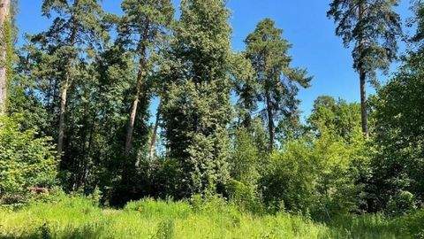 Novoivanovskoye Grundstücke, Novoivanovskoye Grundstück kaufen