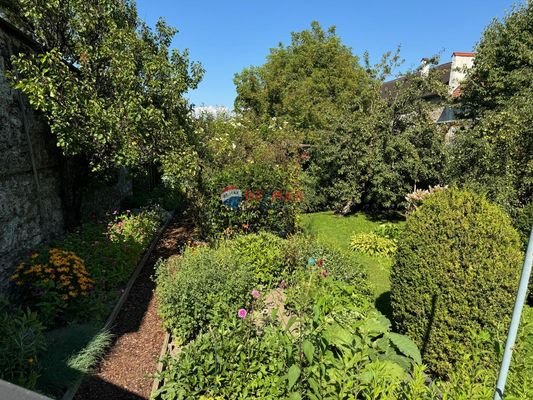Gartenrückseite