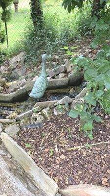 Garten - Zulauf zum Koiteich