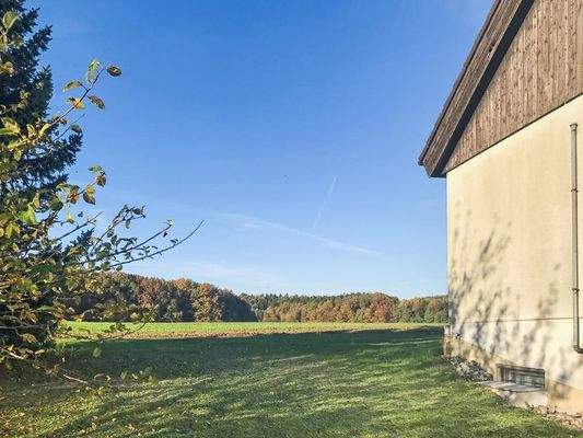 seitlicher Blick Garten_2