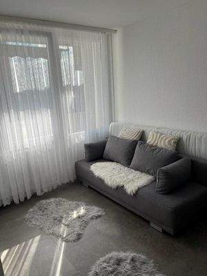Zimmer1