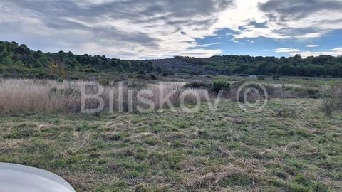 Rukavac Bauernhöfe, Landwirtschaft, Rukavac Forstwirtschaft