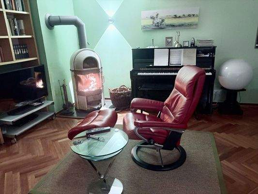 Kaminofen Wohnzimmer