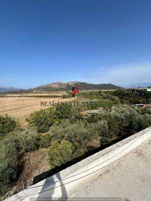 WhatsApp Image 2024-09-06 at 13.20.59 (43).jpeg