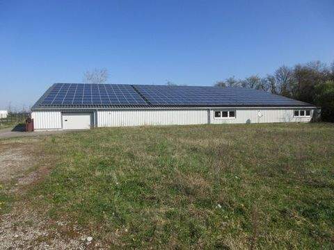 Kenzingen Halle, Kenzingen Hallenfläche