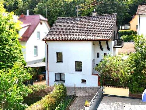 Heidelberg Häuser, Heidelberg Haus kaufen