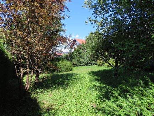 16 Garten nach Norden.JPG