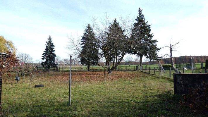 Garten und hintere Zufahrt