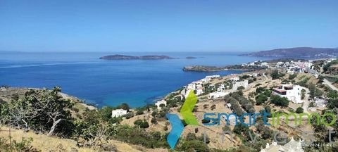 Mpatsi, Andros Bauernhöfe, Landwirtschaft, Mpatsi, Andros Forstwirtschaft