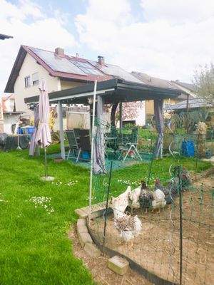 Freisitz und Hühnergehege