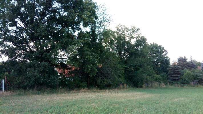 Rückseite Grundstück