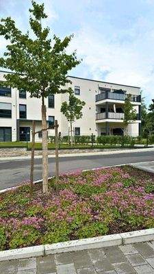 20250603 BUL EF (6).jpg