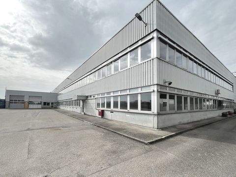 Ulm Halle, Ulm Hallenfläche