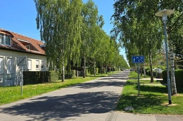 Wohnen im Grünen nahe Volkspark