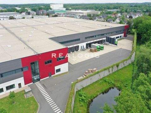 Langenfeld Halle, Langenfeld Hallenfläche