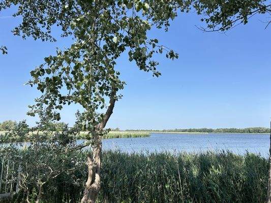 Umgebung - Blick, Wanderweg a. Dassower See 