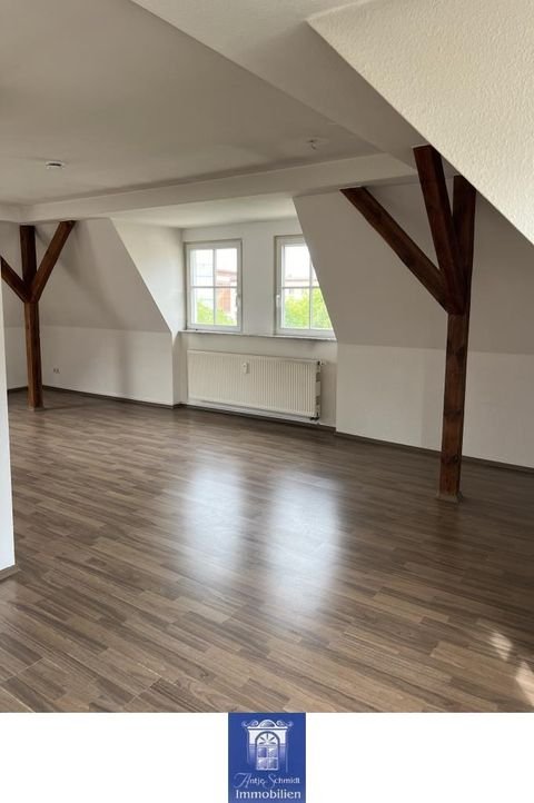 Riesa Wohnungen, Riesa Wohnung mieten
