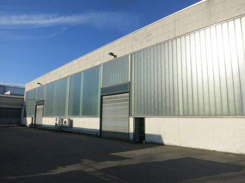 Dorsten Halle, Dorsten Hallenfläche