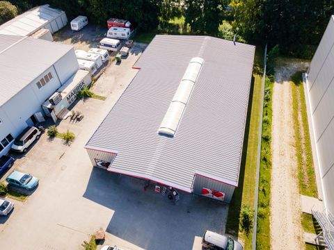 Wang Halle, Wang Hallenfläche