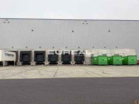 Duisburg Halle, Duisburg Hallenfläche